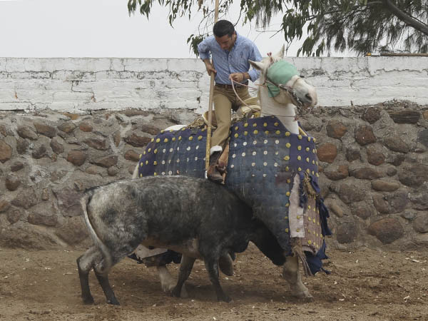 Habilidad con la lanza