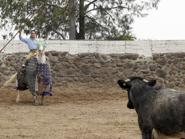 Barba, tentador completo