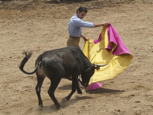 Con el reverso del percal