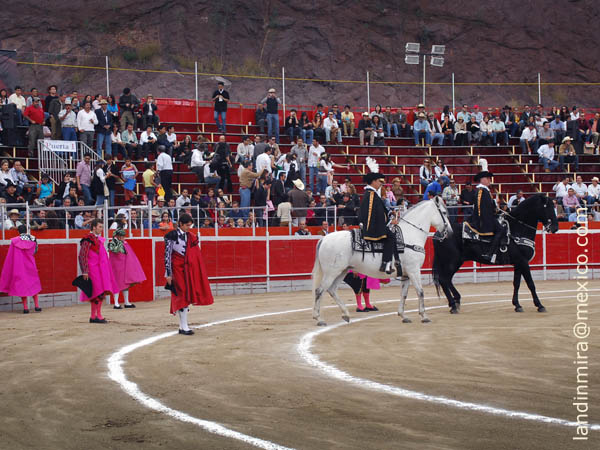 Vuelve el toro a Guanajuato