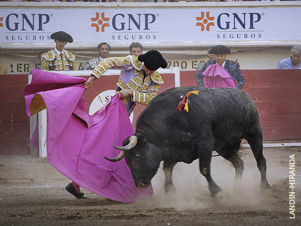 Sabore� la calidad del toro