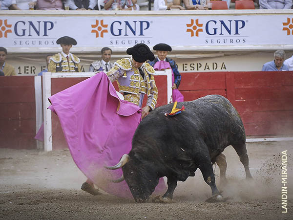 Desde las ver�nicas...