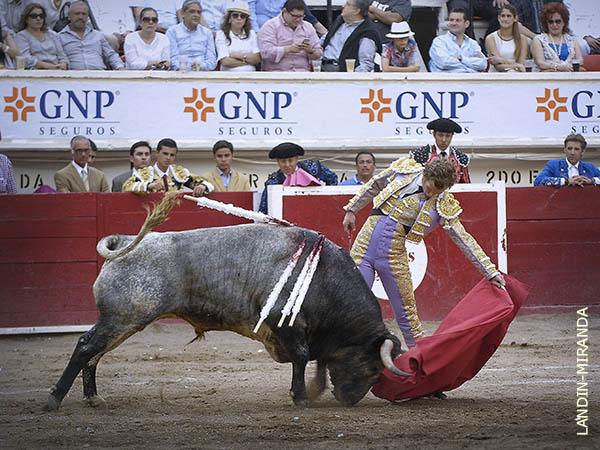 Lo que toca la fibra sensible