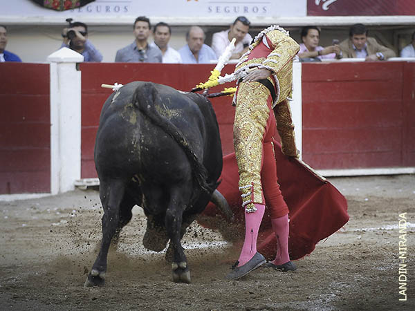 Torero recio y curtido