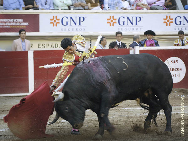 Poniendo el alma en cada muletazo