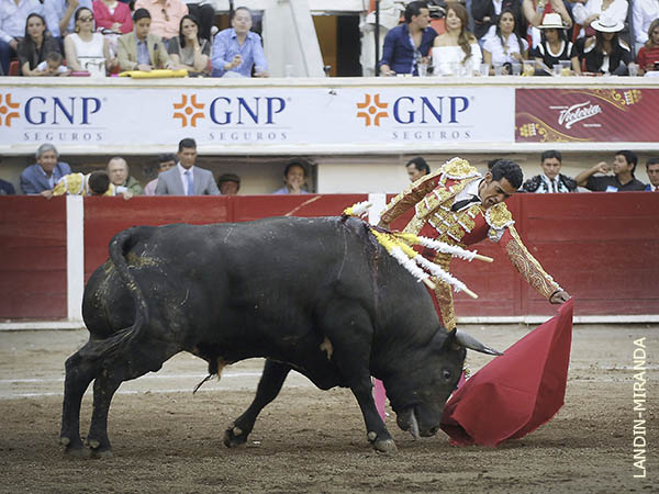 Naturales de largo y templado trazo