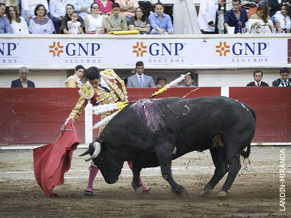 Series de magn�fico acabado