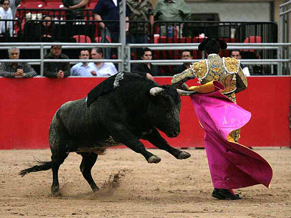 Enrredado Pedro Guti�rrez Lorenzo