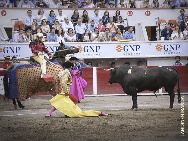 Dej�ndolo al caballo