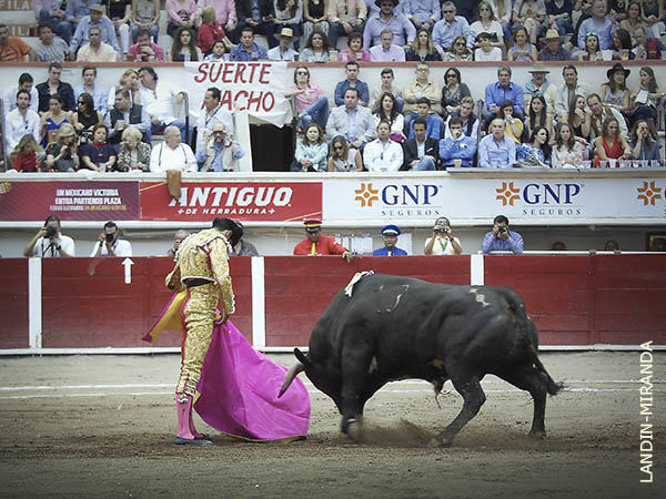 Garibay con el segundo de su lote