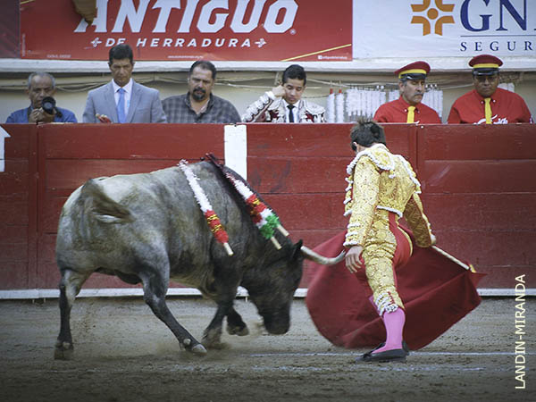 Af�n cotidiano por trascender