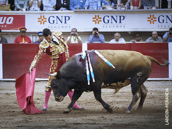 Casta�o complicado