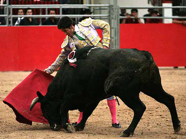 Demostrando el arte que atesora