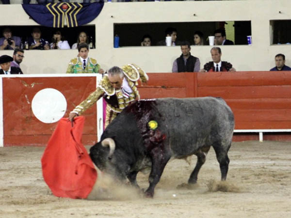 Embrujo en el temple