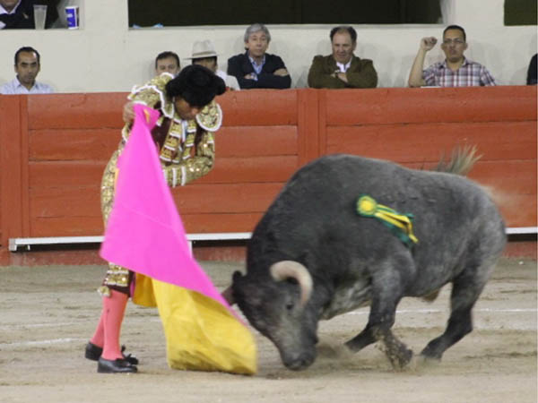 El Pana, primer espada