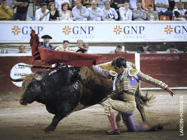 Entrever� su estilo