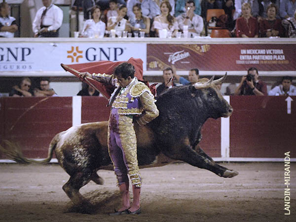 Mucha entrega, por supuesto