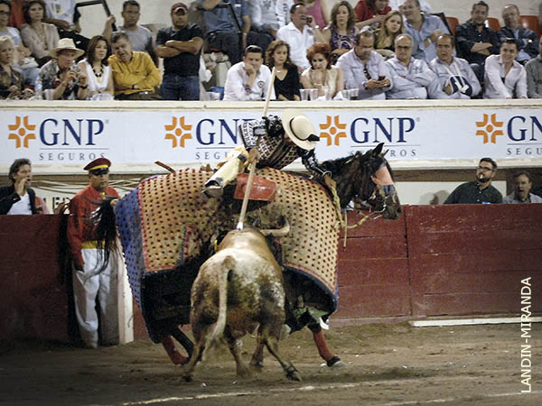 El regalo: bravo y noble