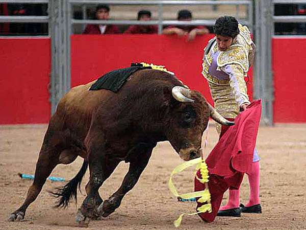 Al natural con la sarga