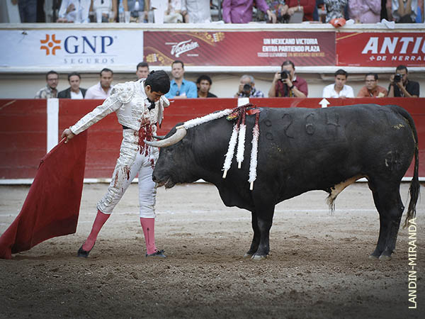 Negro, alto, delantero de cuerna