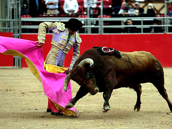 Federico Pizarro, a la ver�nica