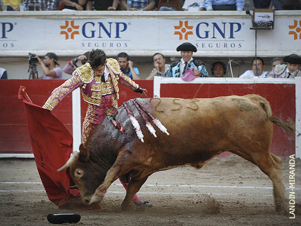 Gritos de torero torero, tambi�n