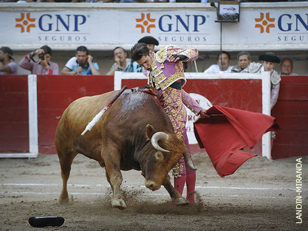 La algarab�a a todo lo que daba