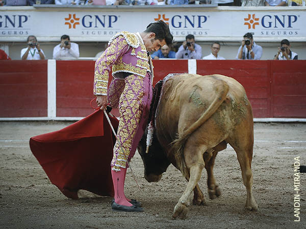 Dimensi�n y buen gusto