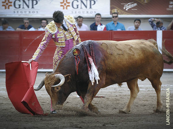 Una embestida a la velocidad m�nima