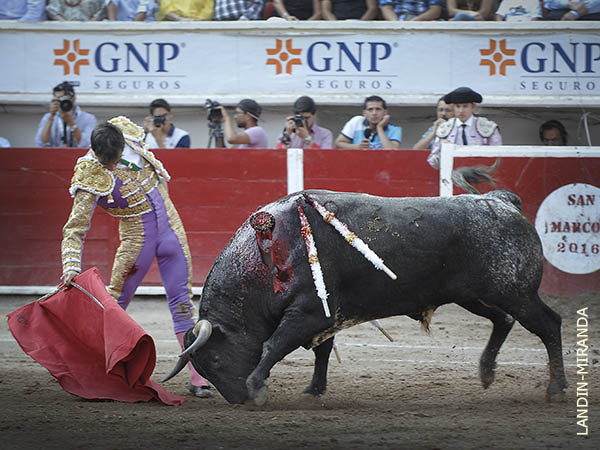 Pasajes de buen toreo