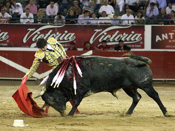 Embebido en la muleta