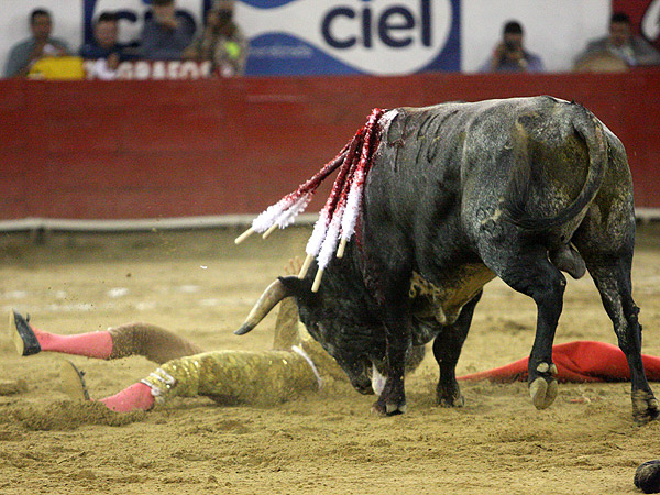 Se salv� de milagro