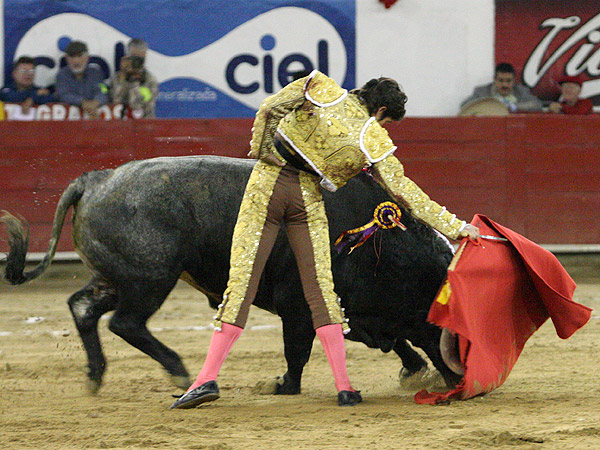 Oblig�ndolo a seguir la muleta