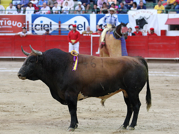 El trap�o armonioso