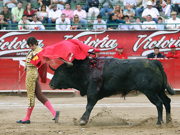 Torer�a ante la violencia