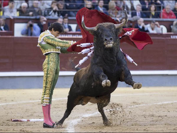 Tarde so�ada para Andr�s