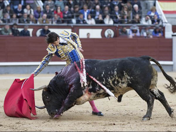 Derechazos al burraco