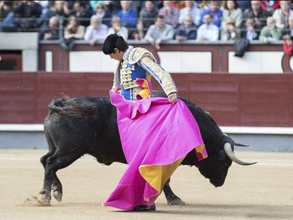 Chicuelinas de Castella