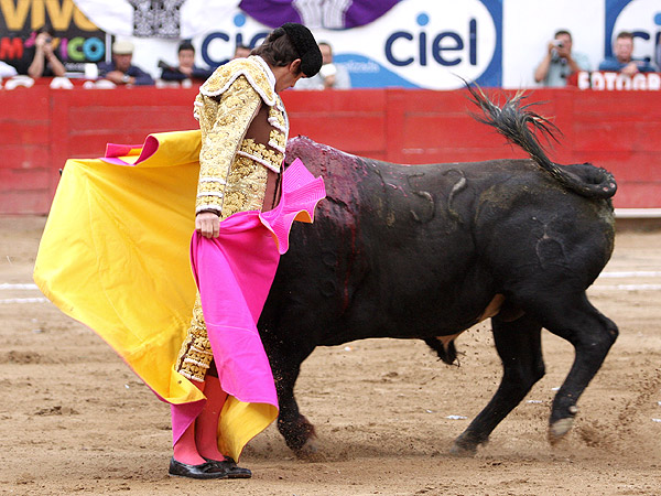 La r�plica fue por chicuelinas