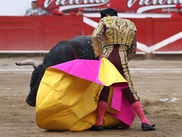 La media de Zotoluco