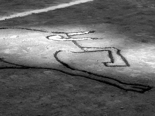 Un toro del pintor Andr�s M�rida