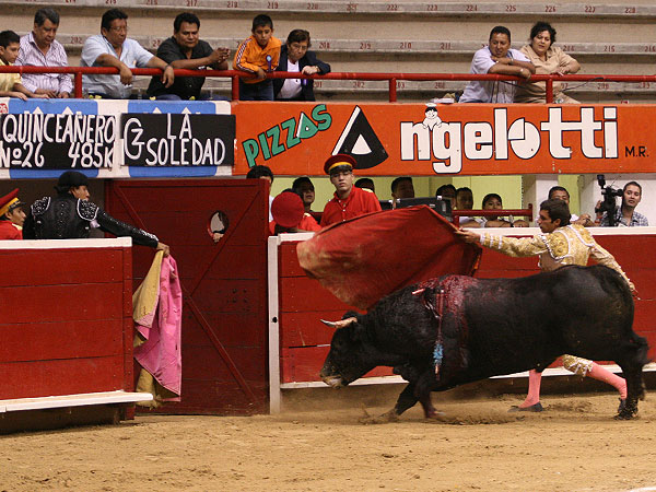 Un gran toro de La Soledad