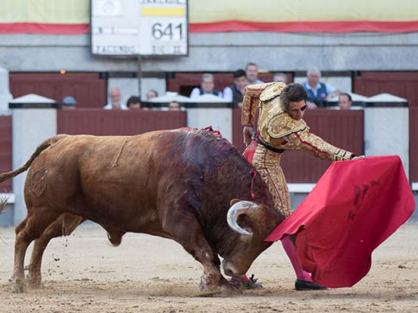 Entrega, la divisa de Padilla