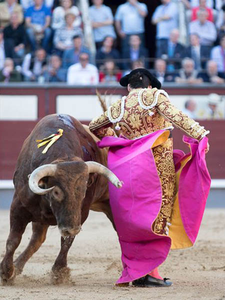 Chicuelina de Garrido