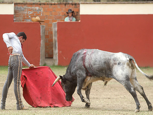 Figura de torero