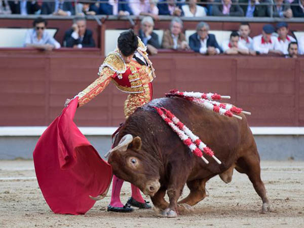 L�pez Sim�n, por encima de su lote