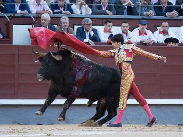 Ramate de pecho al negro