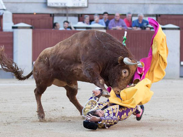 Se llev� tremendo susto