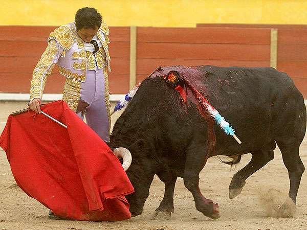 Angelino una tarde de pundonor