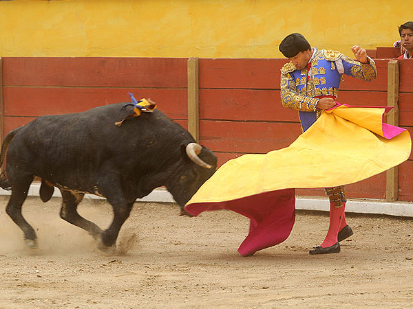 Alegr�a y versatilidad